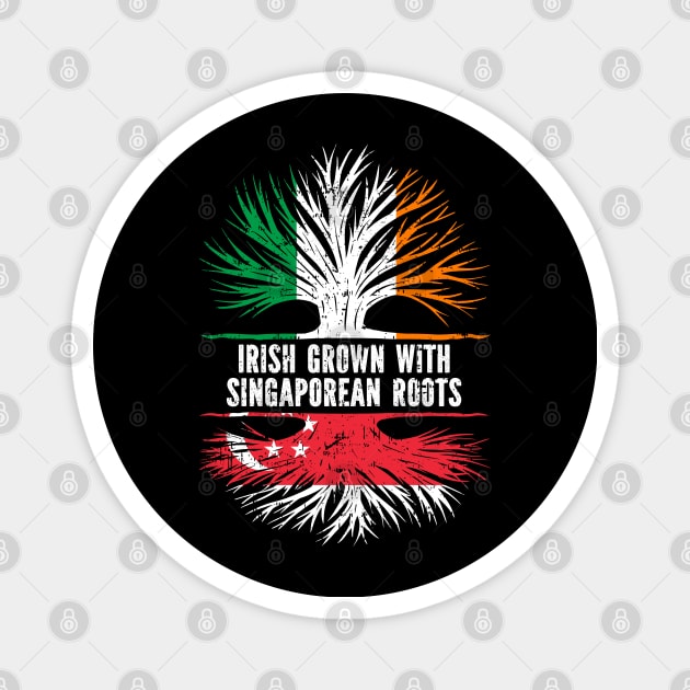 Irish Grown With Singaporean Roots Ireland Flag Magnet by silvercoin